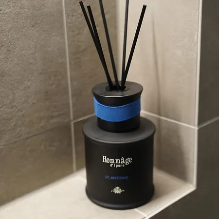 Central, Luxury, Chalet-style Penthouse 公寓 *